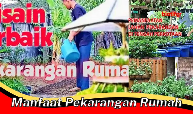 manfaat pekarangan rumah