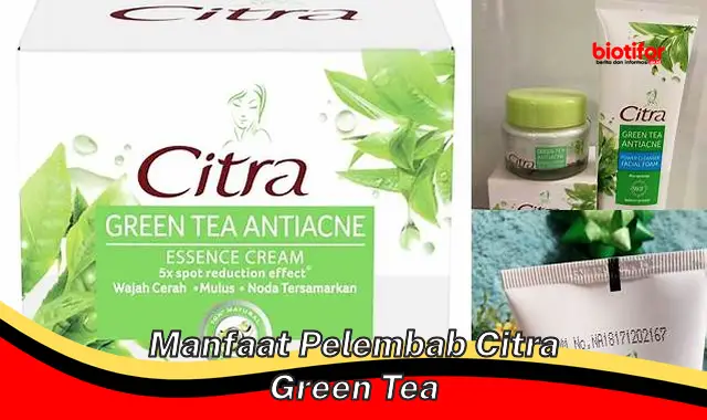 manfaat pelembab citra green tea