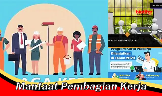 manfaat pembagian kerja