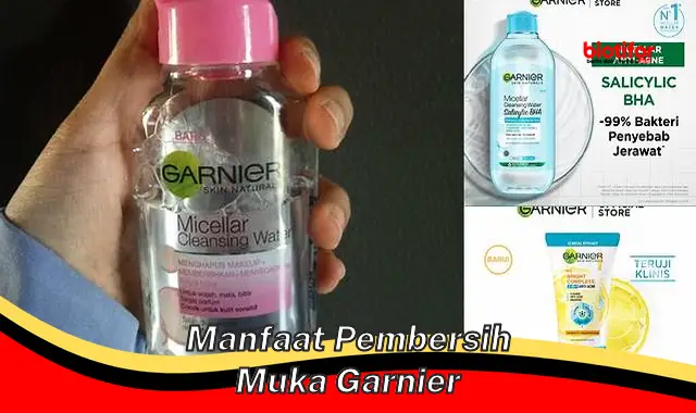 manfaat pembersih muka garnier