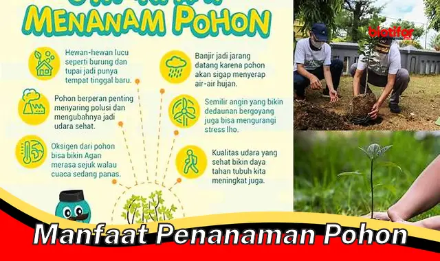 Temukan Rahasia Manfaat Penanaman Pohon yang Belum Diketahui