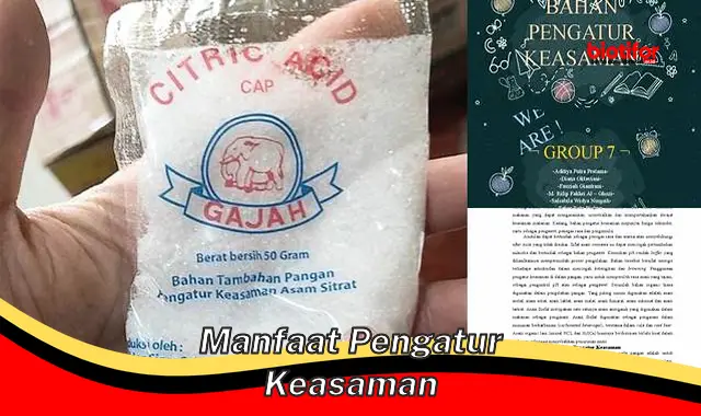 manfaat pengatur keasaman