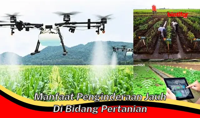 manfaat penginderaan jauh di bidang pertanian