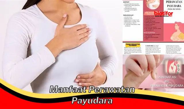 manfaat perawatan payudara