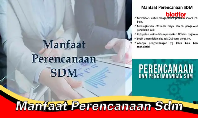 manfaat perencanaan sdm