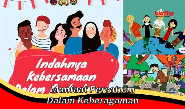 Temukan 5 Manfaat Persatuan dalam Keberagaman Jarang Diketahui