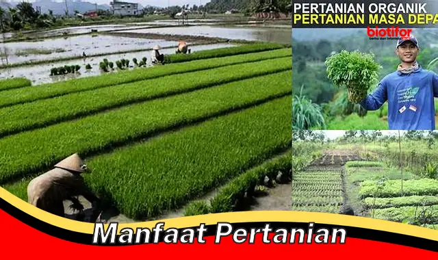 manfaat pertanian