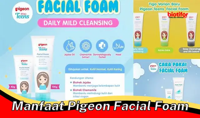 Temukan 5 Manfaat Pigeon Facial Foam yang Jarang Diketahui