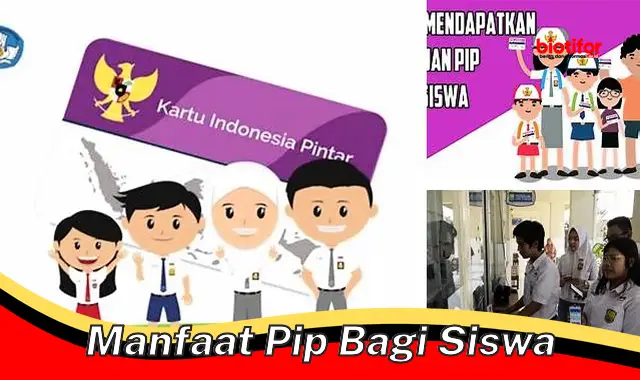 5 Manfaat PIP Bagi Siswa yang Perlu Diketahui