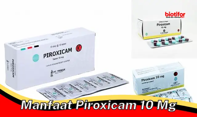 manfaat piroxicam 10 mg
