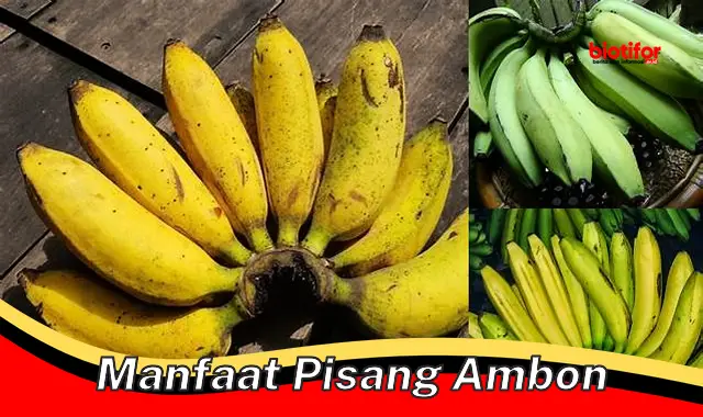 Temukan Khasiat Pisang Ambon yang Jarang Diketahui