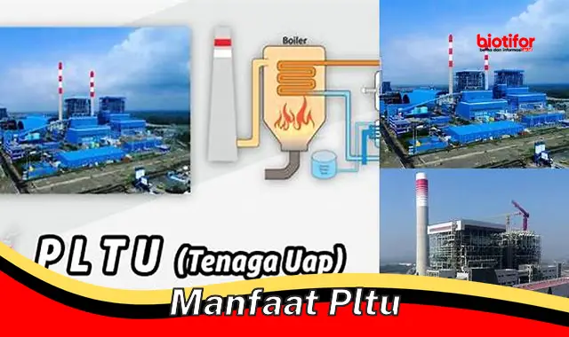 Temukan Manfaat PLTU yang Tak Banyak Diketahui - Biotifor