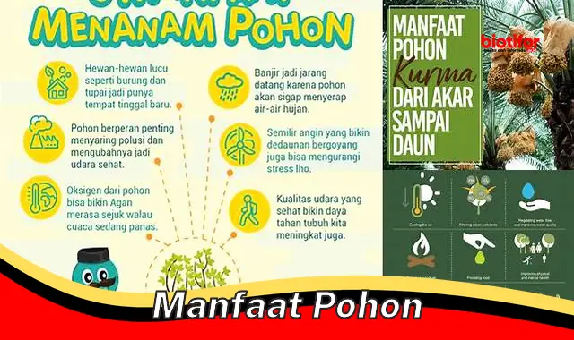 manfaat pohon