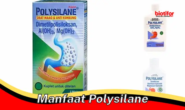 Temukan 5 Manfaat Polysilane yang Jarang Diketahui