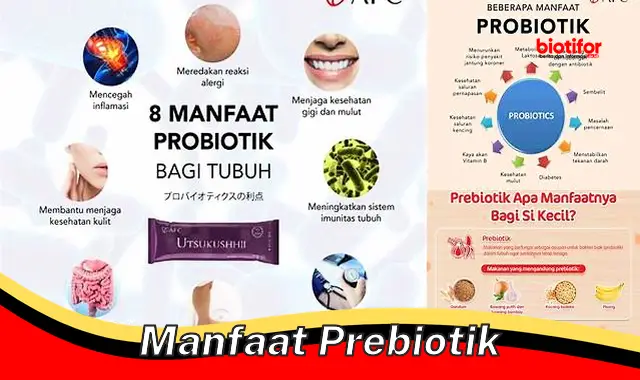 Temukan Khasiat Prebiotik yang Jarang Diketahui