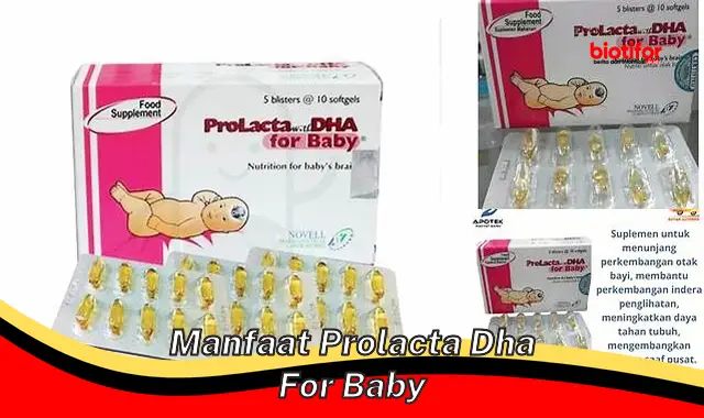 manfaat prolacta dha for baby