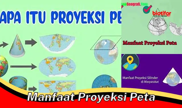 manfaat proyeksi peta