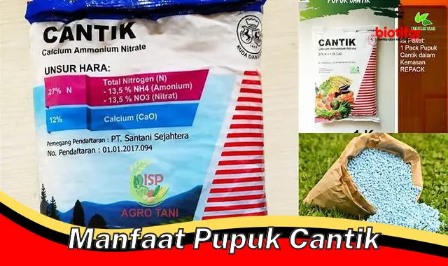 manfaat pupuk cantik