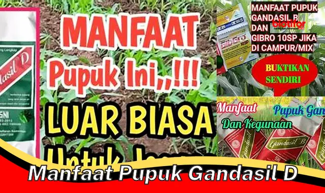 manfaat pupuk gandasil d