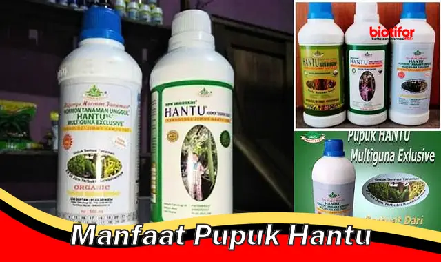 manfaat pupuk hantu