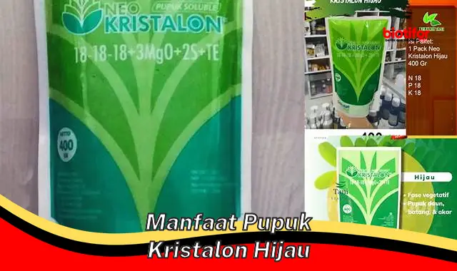 manfaat pupuk kristalon hijau