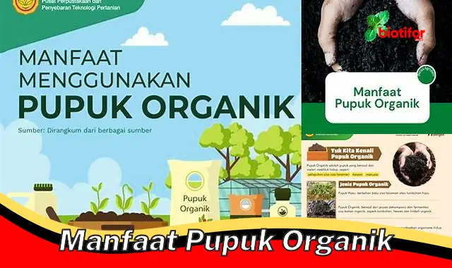 manfaat pupuk organik