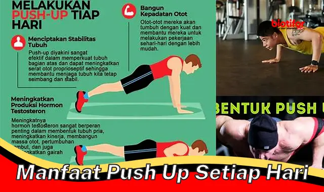 manfaat push up setiap hari