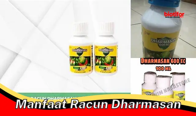 manfaat racun dharmasan