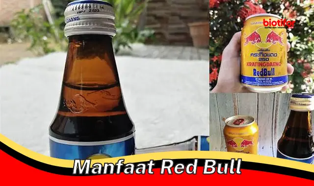 manfaat red bull