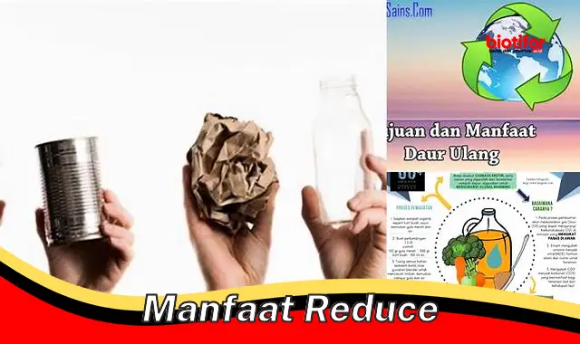 Temukan Rahasia Manfaat Reduce yang Jarang Diketahui