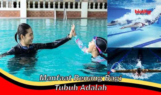 Temukan Manfaat Berenang yang Jarang Diketahui untuk Tubuh Anda