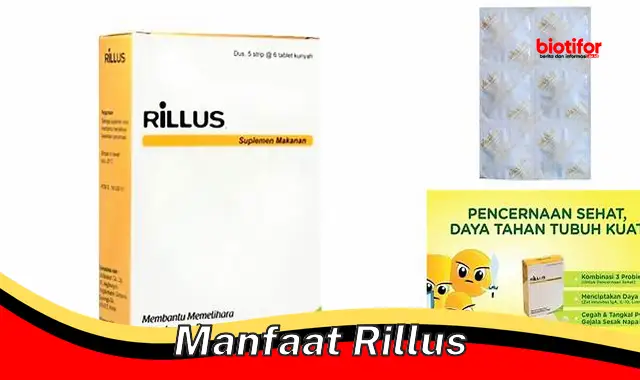 manfaat rillus