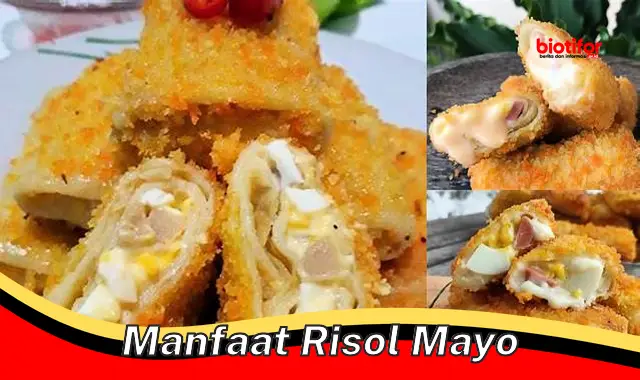 manfaat risol mayo