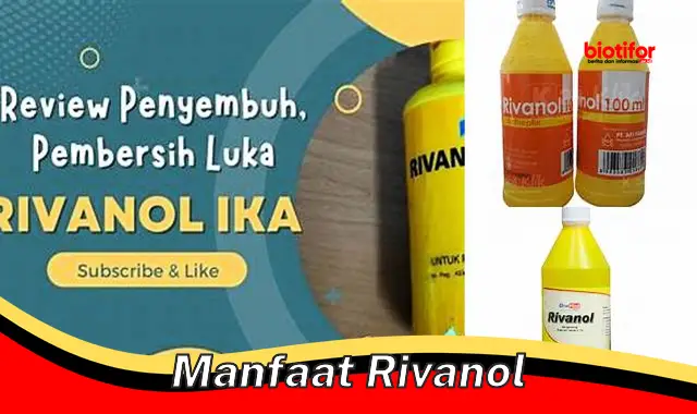 manfaat rivanol