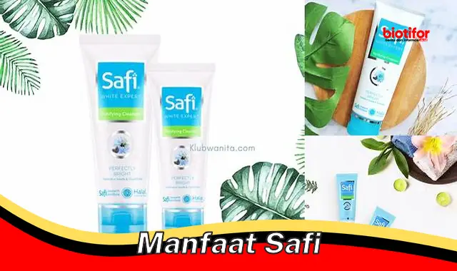 manfaat safi