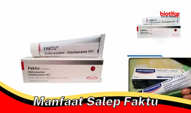 manfaat salep faktu