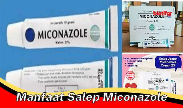 manfaat salep miconazole