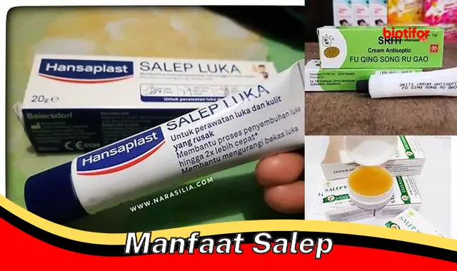 manfaat salep