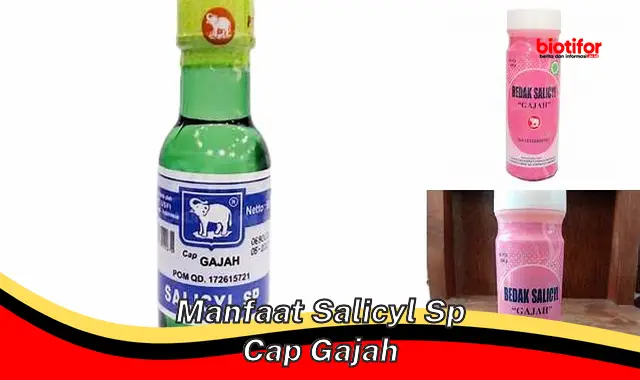 Temukan Khasiat Salicyl SP Cap Gajah yang Jarang Diketahui