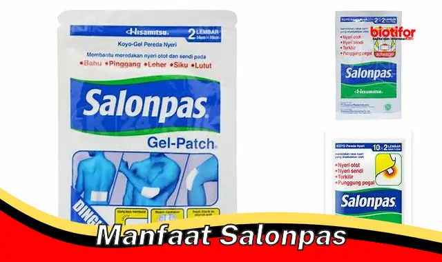 Temukan Manfaat Salonpas yang Jarang Diketahui