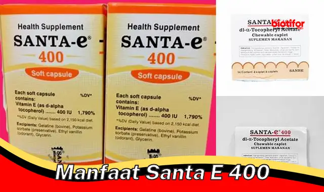 manfaat santa e 400