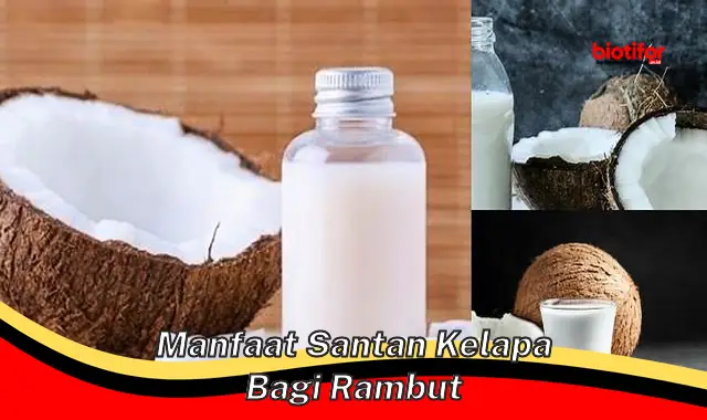 manfaat santan kelapa bagi rambut