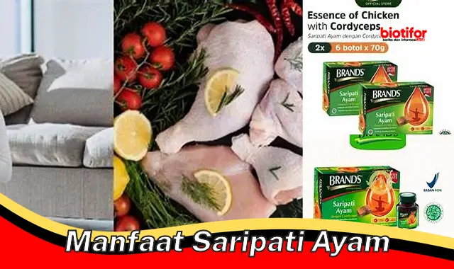 Temukan Manfaat Saripati Ayam Yang Jarang Diketahui Biotifor