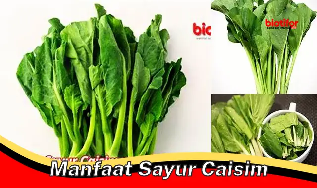 manfaat sayur caisim