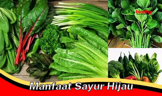 Temukan Manfaat Sayur Hijau yang Jarang Diketahui