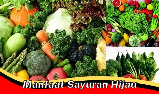 manfaat sayuran hijau