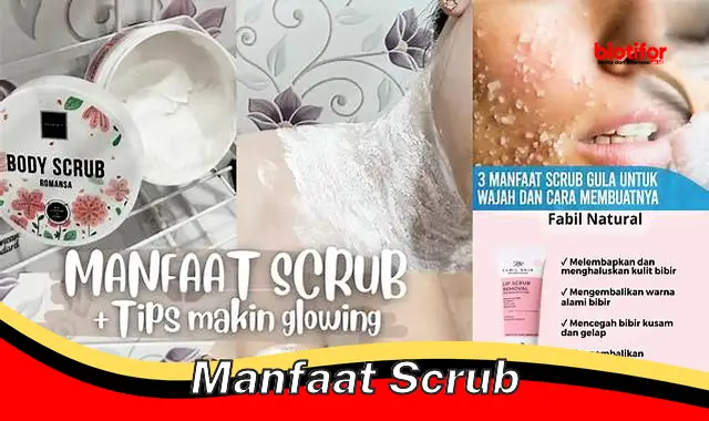 Temukan Manfaat Scrub yang Wajib Diketahui