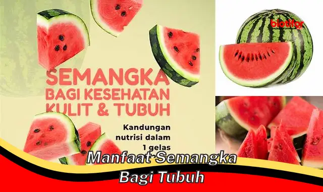 manfaat semangka bagi tubuh