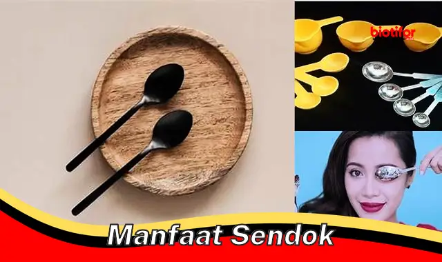 manfaat sendok