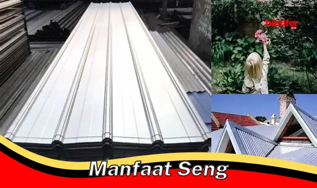 manfaat seng